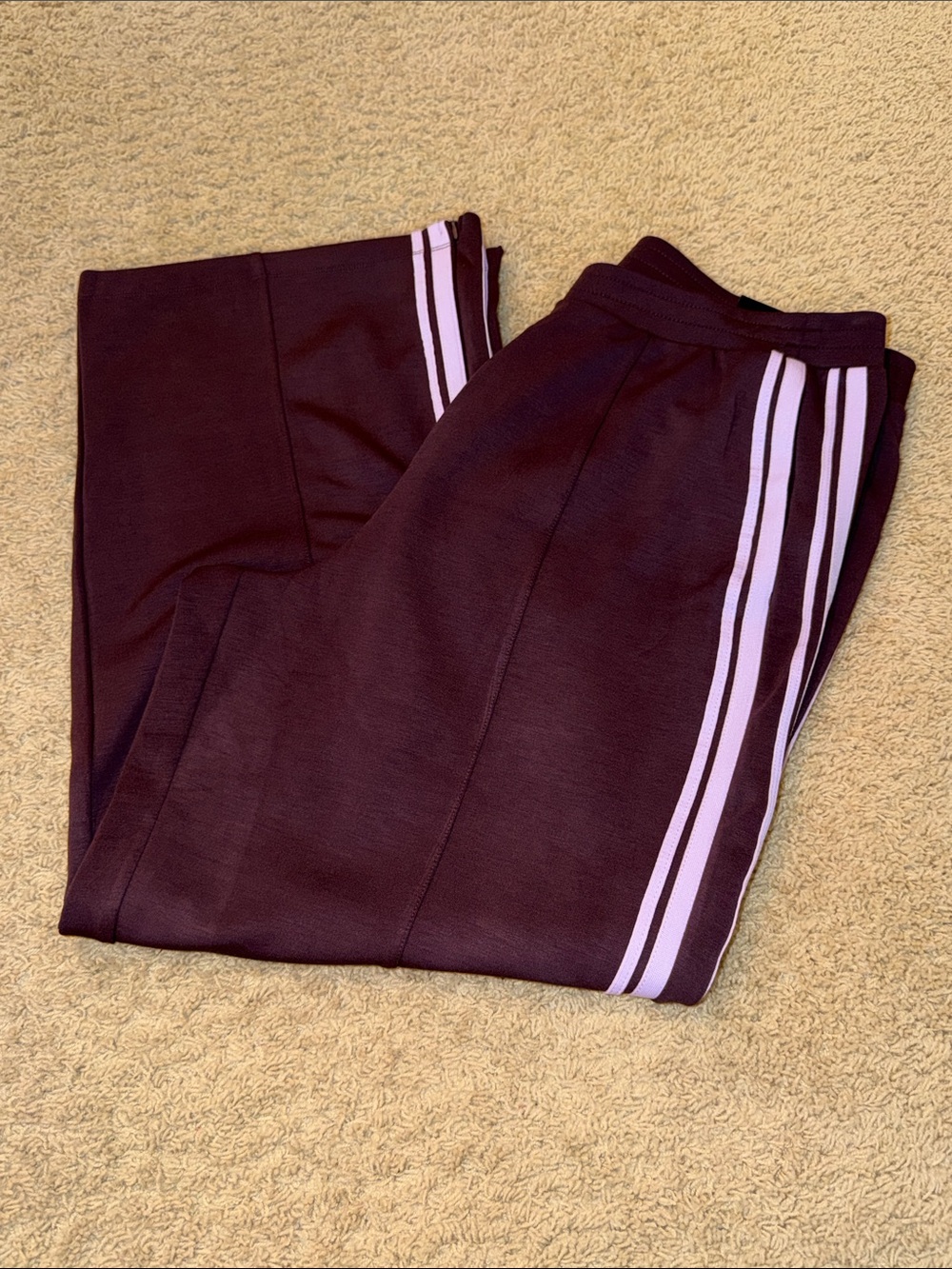 torrid Joggers with Light Purple Side Stripes